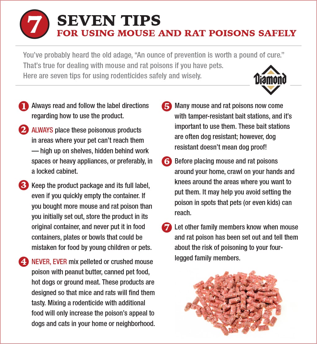 An interior graphic detailing seven different tips for using mouse and rat poisons safely.