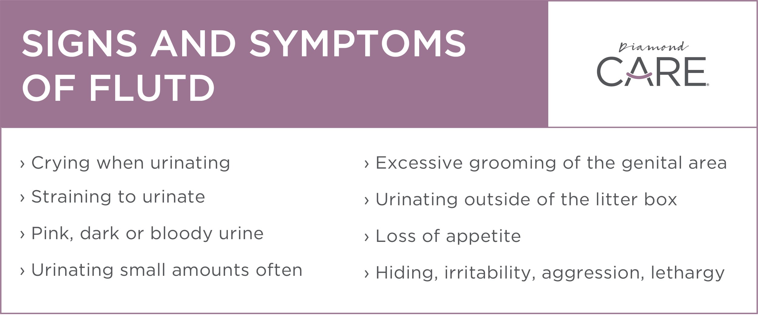 An interior graphic detailing eight common signs and symptoms of feline lower urinary tract disease.