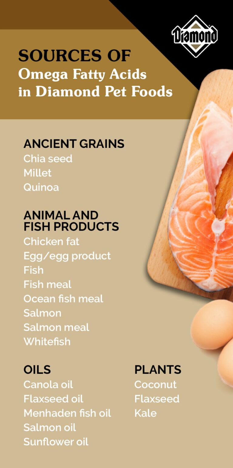 Image showcasing The Benefits of Omega Fatty Acids in Pet Food