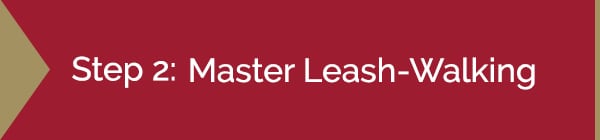 Step 2: Master Leash-Walking Graphic | Diamond Pet Foods