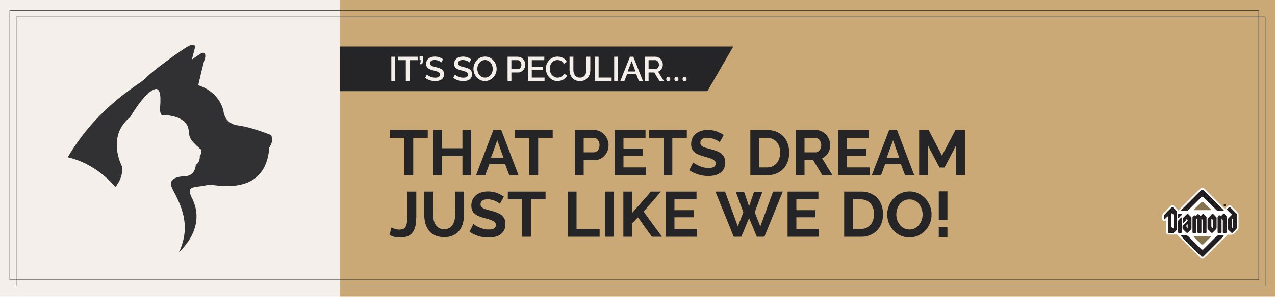 An interior graphic with text that reads, 'It's so peculiar...that pets dream just like we do'.