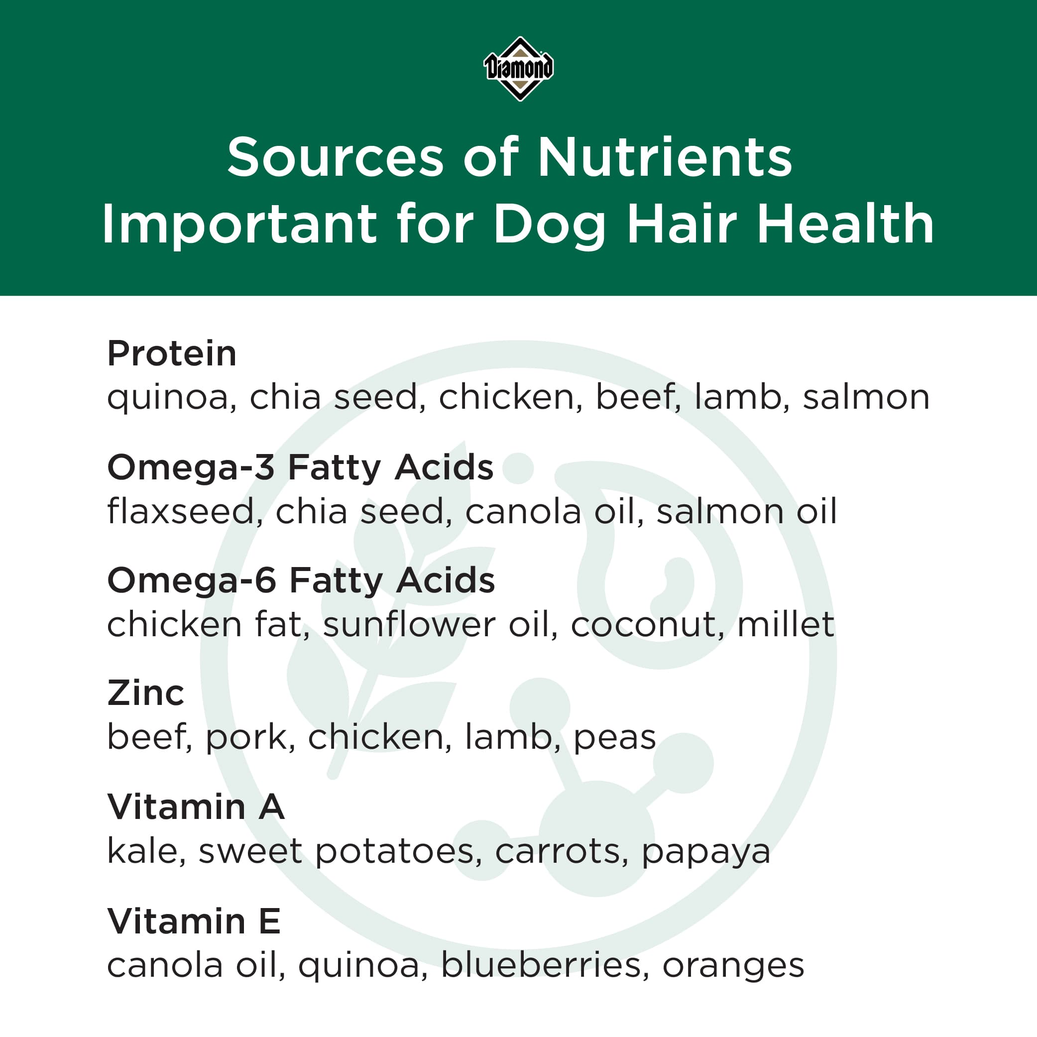 An interior graphic detailing the nutrient sources that are important for dog hair health.