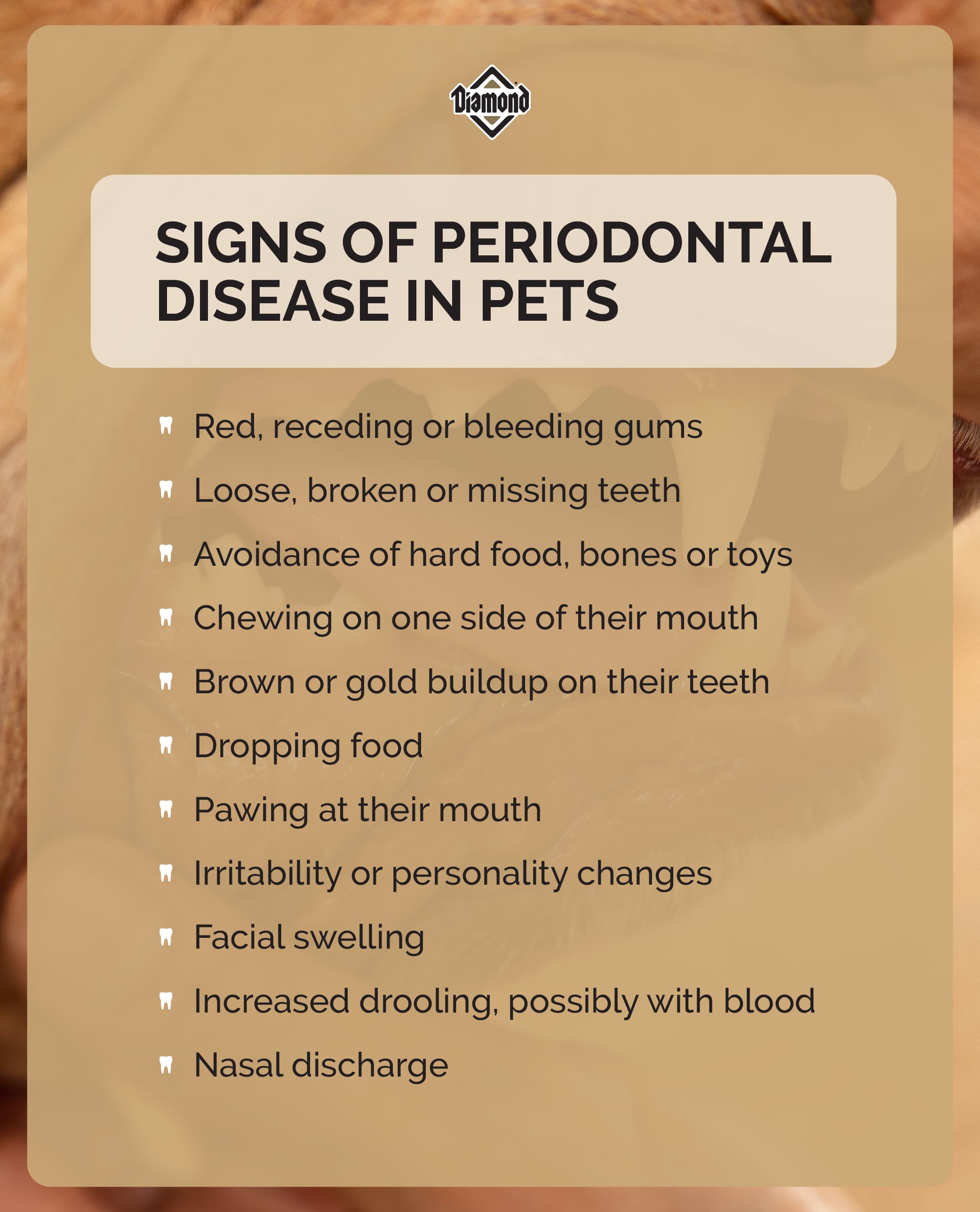 An interior graphic listing the signs of periodontal disease in pets.