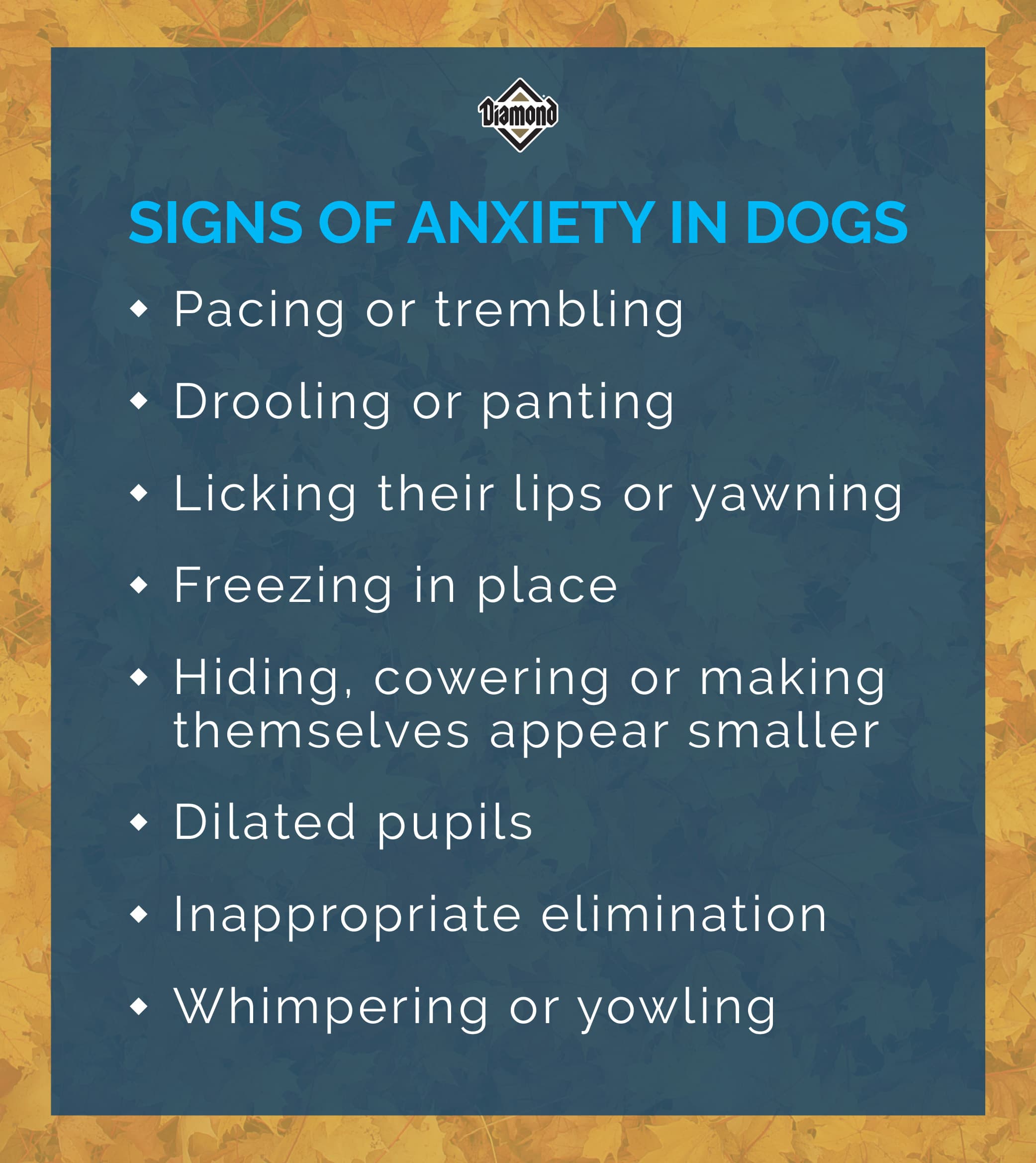 Signs of anxiety in dogs. | Diamond Pet Foods